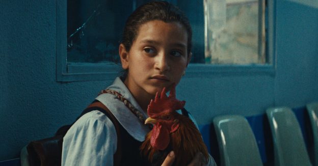 The President’s Cake (Mamlaket al-qasab)